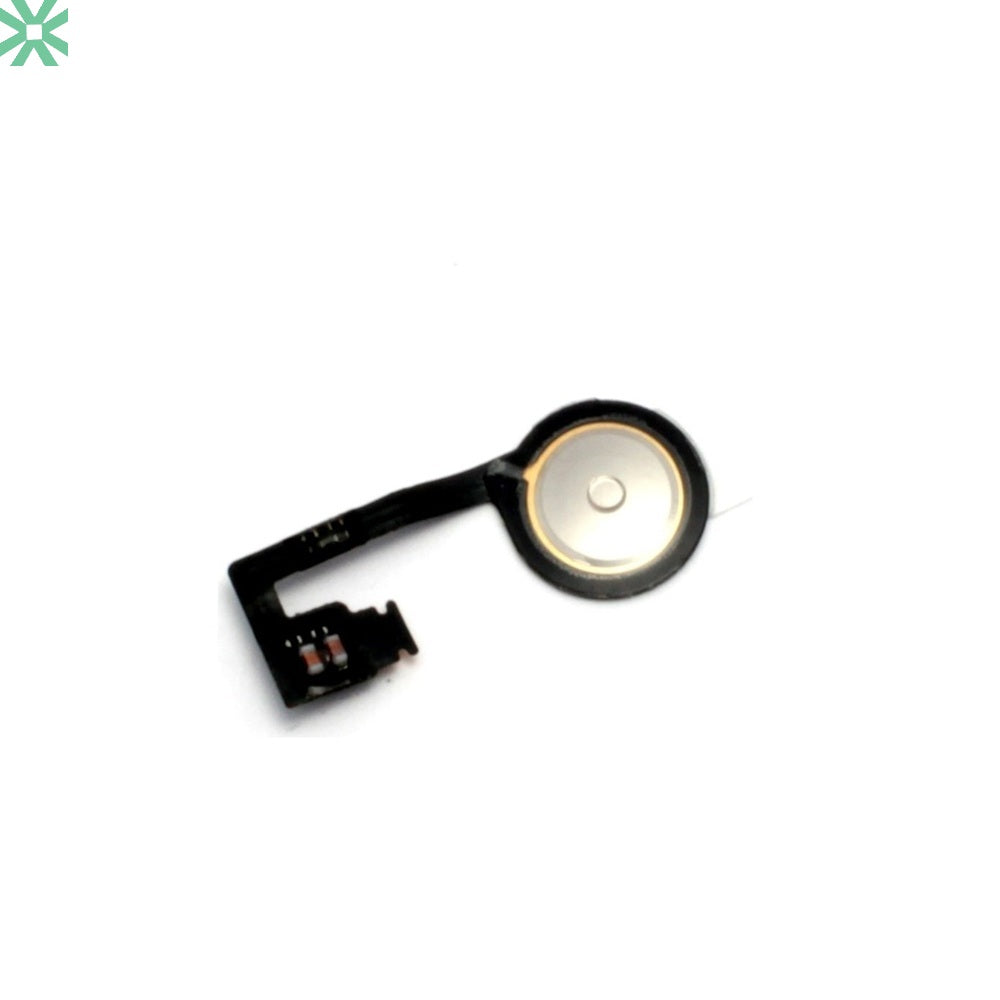 Apple iPhone 4S A1384 Orta Tuş Filmi Flex - Sade